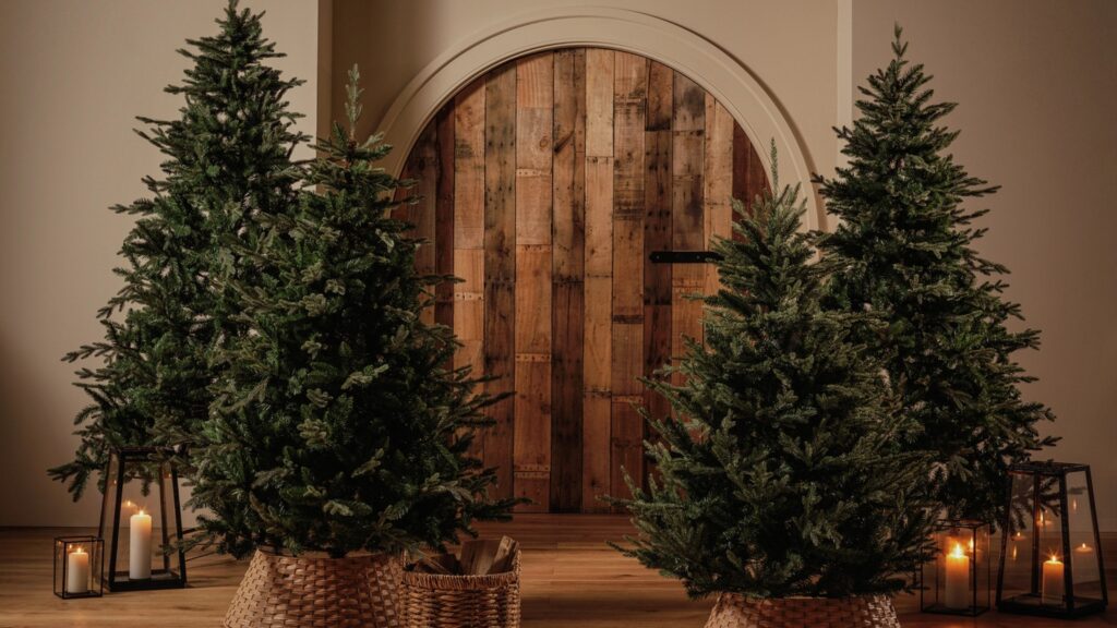 Habitat’s bestselling Christmas tree is already selling fast
