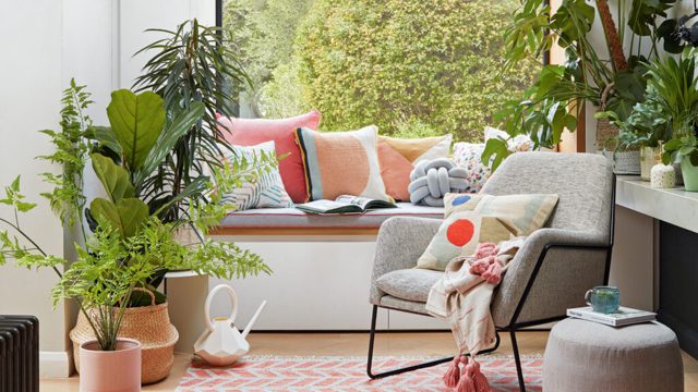 Your houseplants could be slowing down your WiFi by 40%