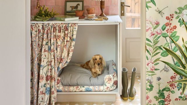 Make your house a home with these kitchen pet zones