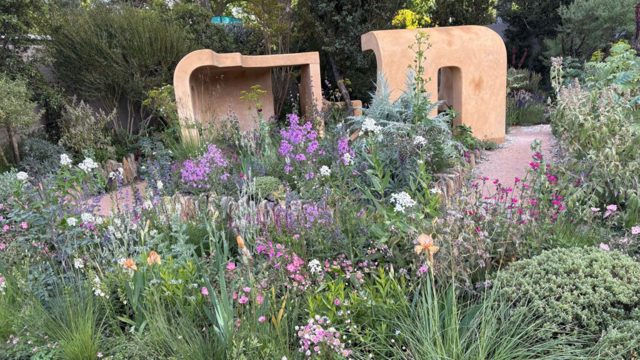 6 of the best RHS Chelsea Flower Show 2026 garden trends