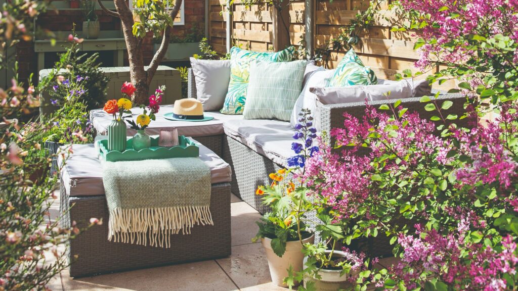 6 fly-repellent plants for patio pots to keep bugs away