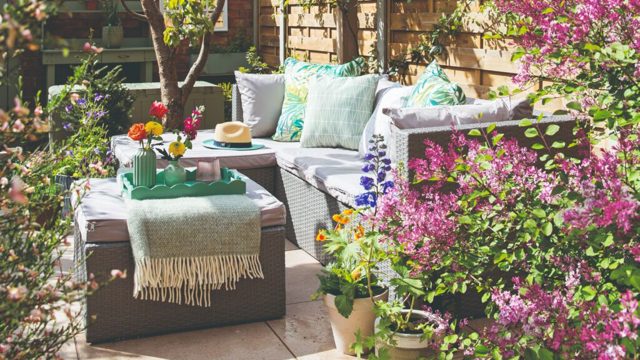 6 fly-repellent plants for patio pots to keep bugs away