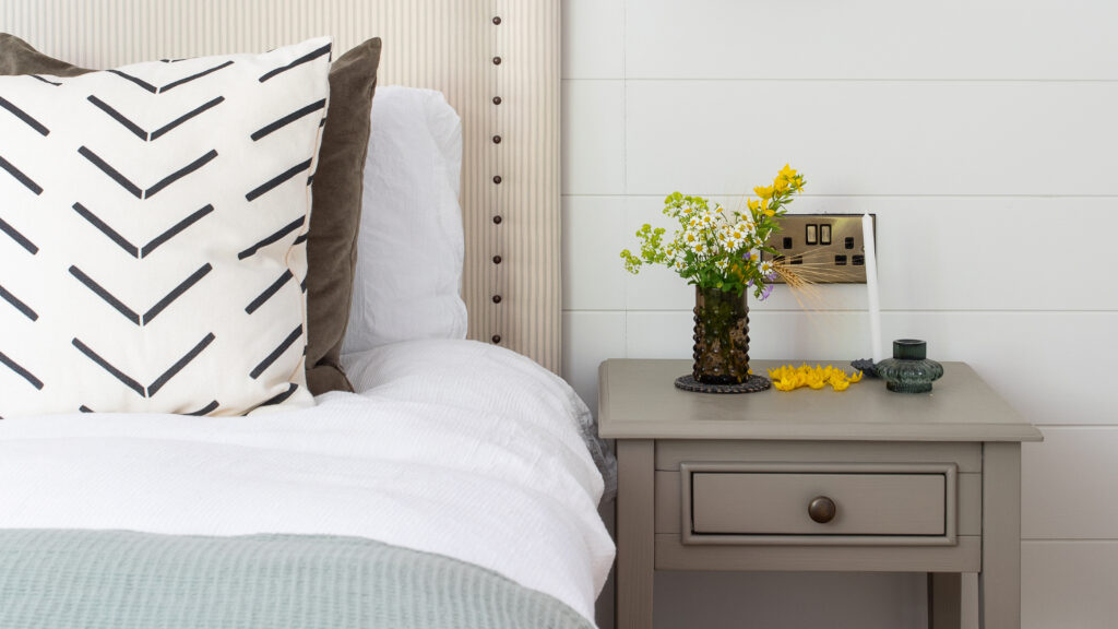 Where bed bugs come from: according to pest control expert