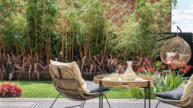 How to plan the perfect garden on a small budget