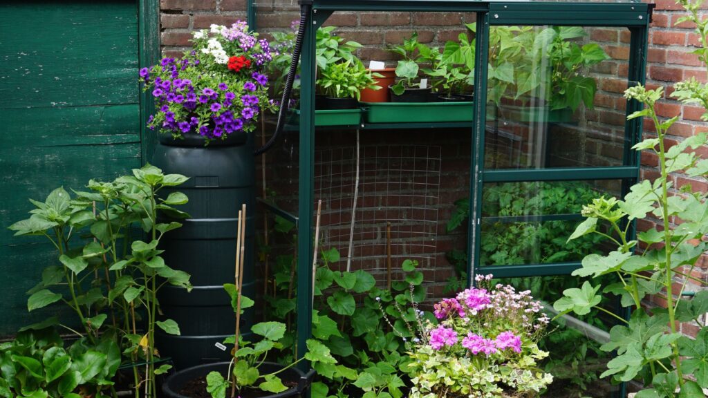 2026 gardening resolutions for a wilder, kinder space