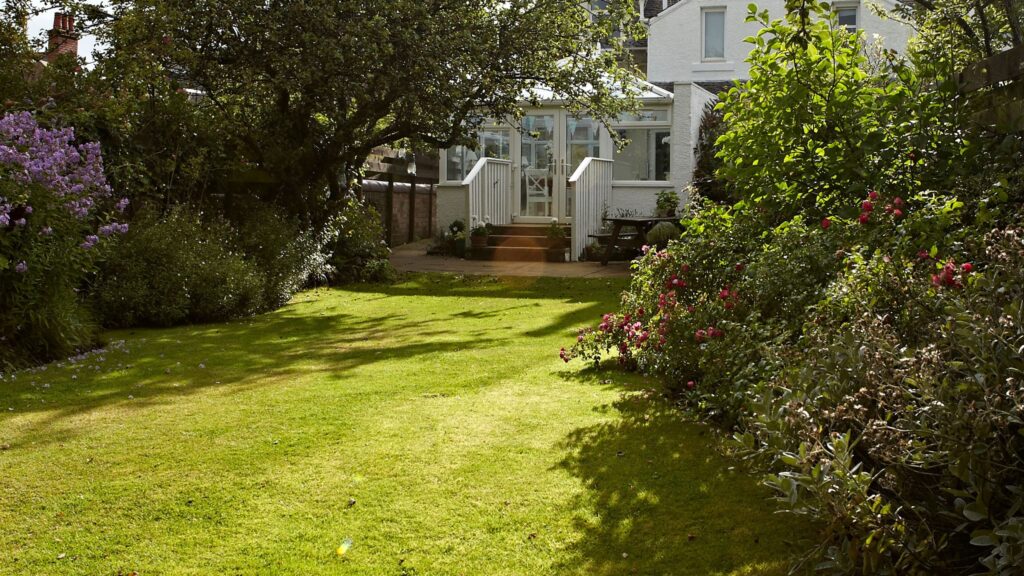 When to cut new grass from seed – the ideal length and time