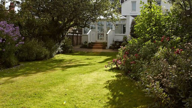 How to tell if your lawn is compacted – 3 tell-tale signs