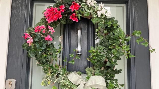 I made a cheery living wreath that lasts beyond Christmas
