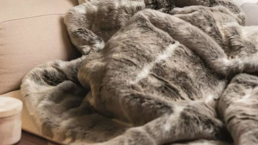 This cosy Dreamland Faux Fur Heated Throw is now on sale
