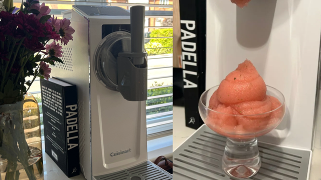 Cuisinart Frost Fusion Ice Cream Maker review
