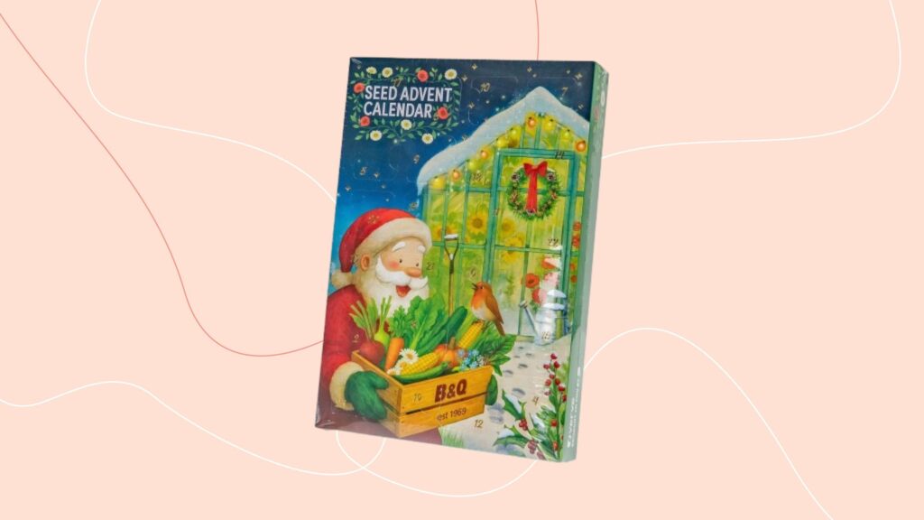 B&Q’s Verve Seed Advent Calendar is an absolute steal for £15