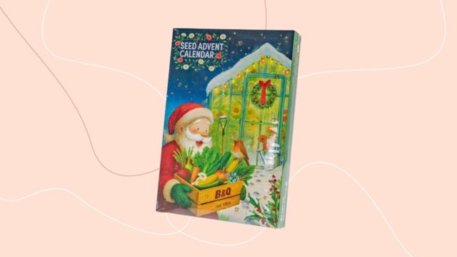 B&Q’s Verve Seed Advent Calendar is an absolute steal for £15