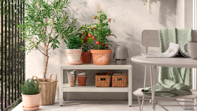 IKEA’s new garden shelf is a must-have for tiny gardens