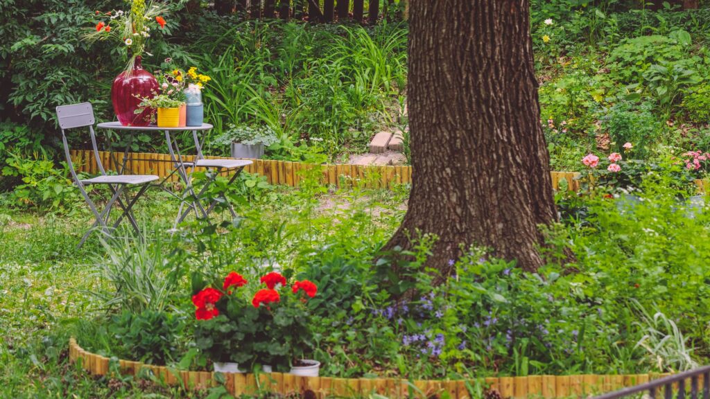 How to get rid of ground ivy in your lawn and garden