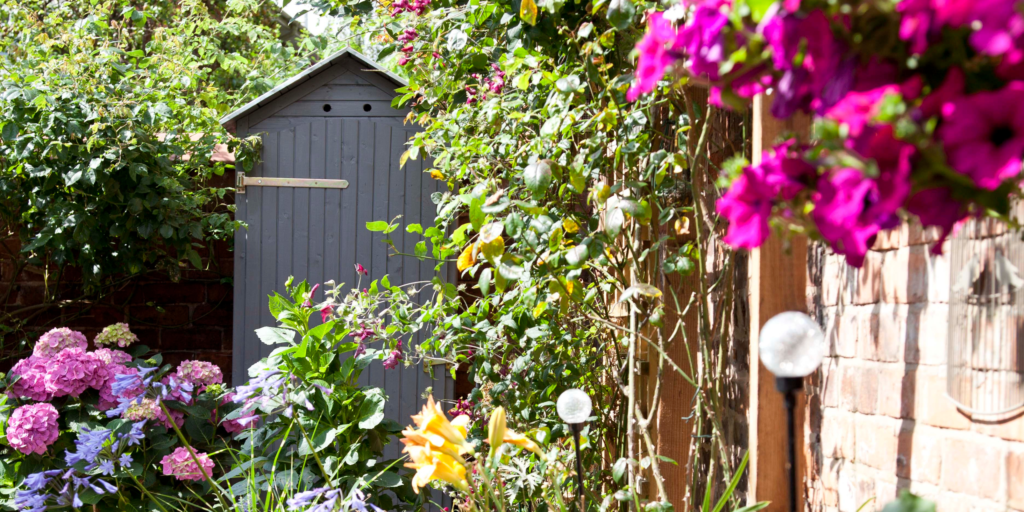 6 best hydrangea varieties for pots for small spaces