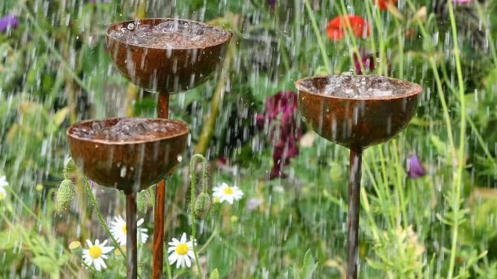 Rain catchers are a whimsical garden feature – 6 top picks