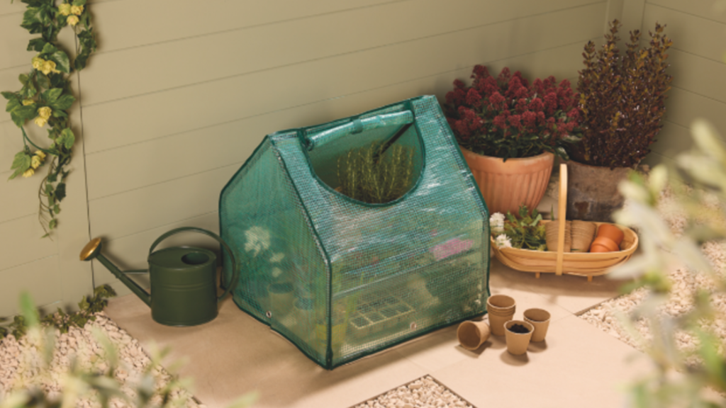 Aldi’s mini growhouse is perfect for small gardens