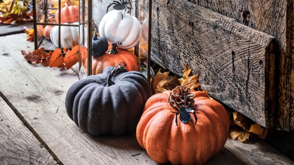 Don’t skip this vital pumpkin carving step, experts warn