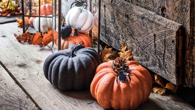 Don’t skip this vital pumpkin carving step, experts warn