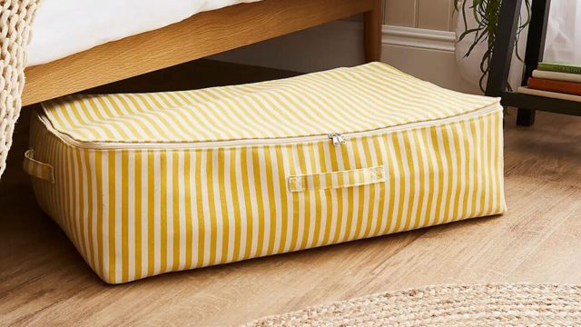 Dunelm’s striped £14 underbed storage bag is a game-changer