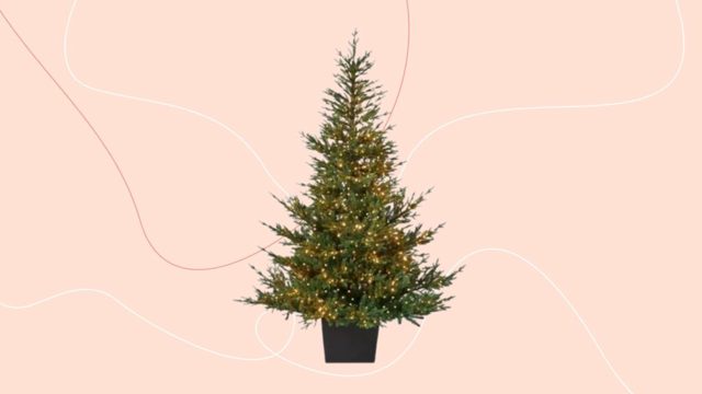 The John Lewis Cotswold Christmas tree is back in stock!