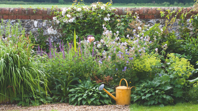 What is deep watering? Experts share how to do it properly
