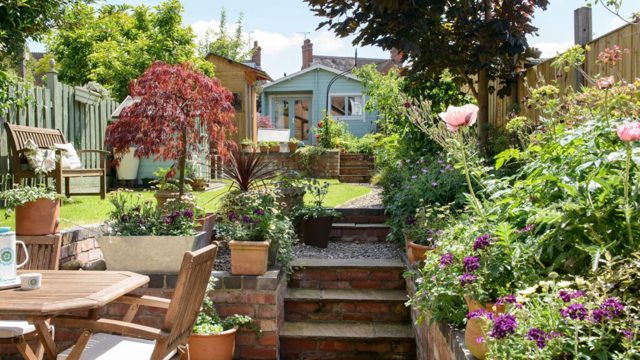 5 ways experts water their plants during a two-week holiday