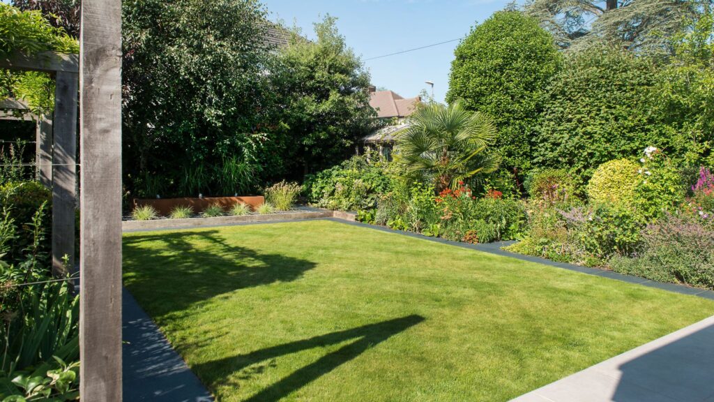 Are chafer grubs eating your lawn? 3 tell-tale signs