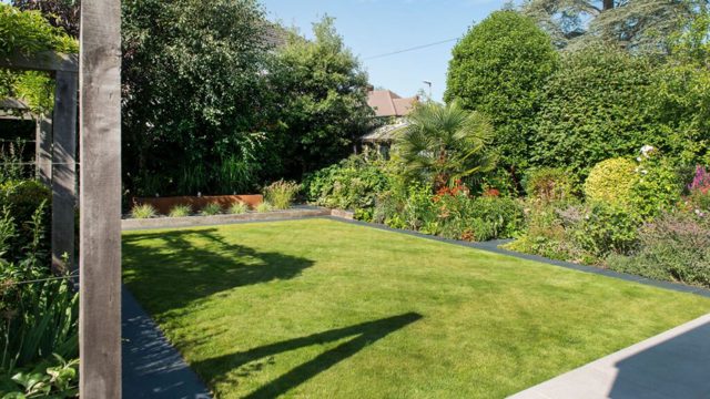 6 July lawn care tips for lush, green and thriving grass
