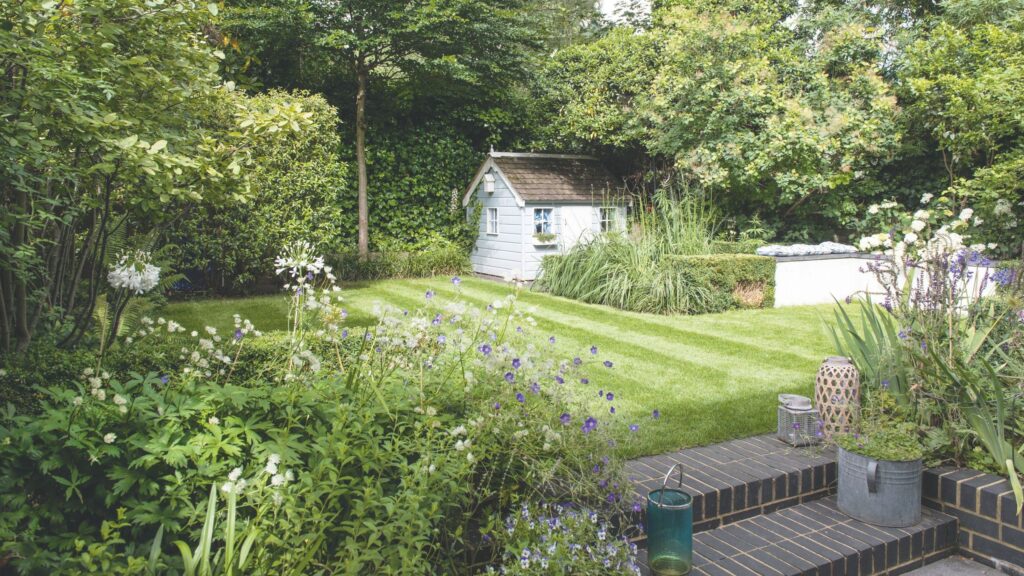How sprinkling cinnamon on your lawn can make it healthier