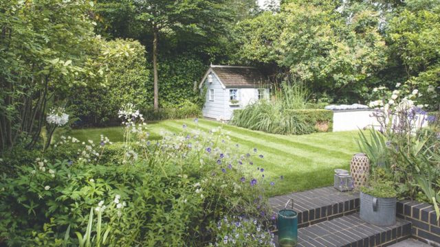 How sprinkling cinnamon on your lawn can make it healthier