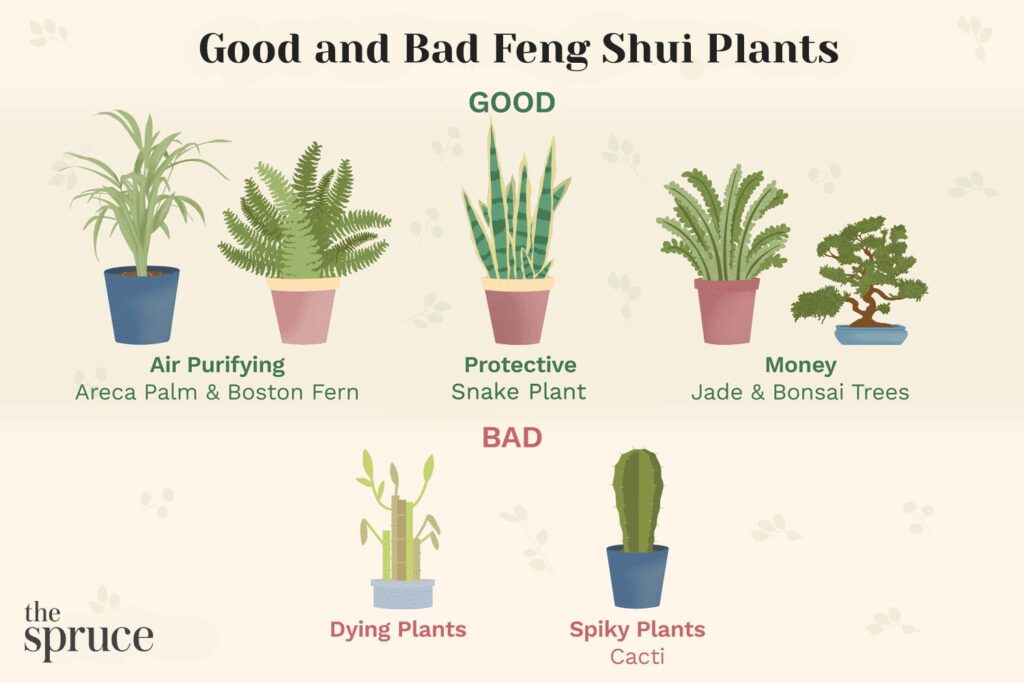 The 15 Best Feng Shui Plants to Use In Your Home
