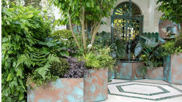 3 RHS Chelsea-approved plants that help prevent flooding