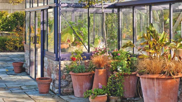 Pot feet could save your plants from heavy rain this week