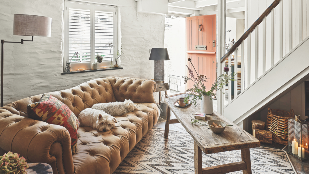 Only stylish pet parents have Le Creuset’s pet bowls
