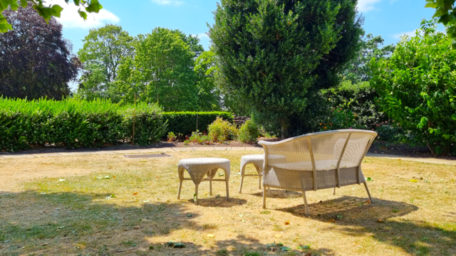 3 things to do to your lawn before it rains