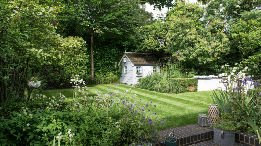 My neighbour said our tree blocked her light – expert advice