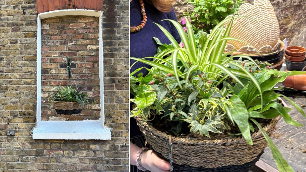 5 tips for creating a hanging basket that will thrive in a north-west garden