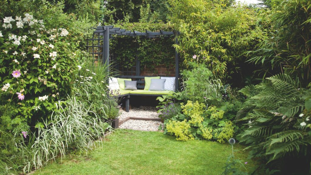 Best low-maintenance evergreen shrubs for year-round privacy