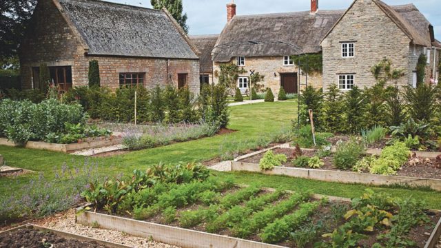 Best mulch for vegetable gardens – 5 brilliant options