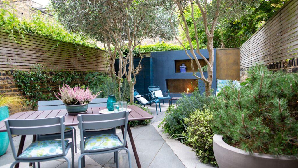 8 Mediterranean plants that thrive in hot, sunny weather