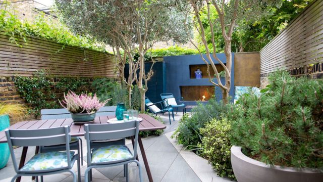 8 Mediterranean plants that thrive in hot, sunny weather
