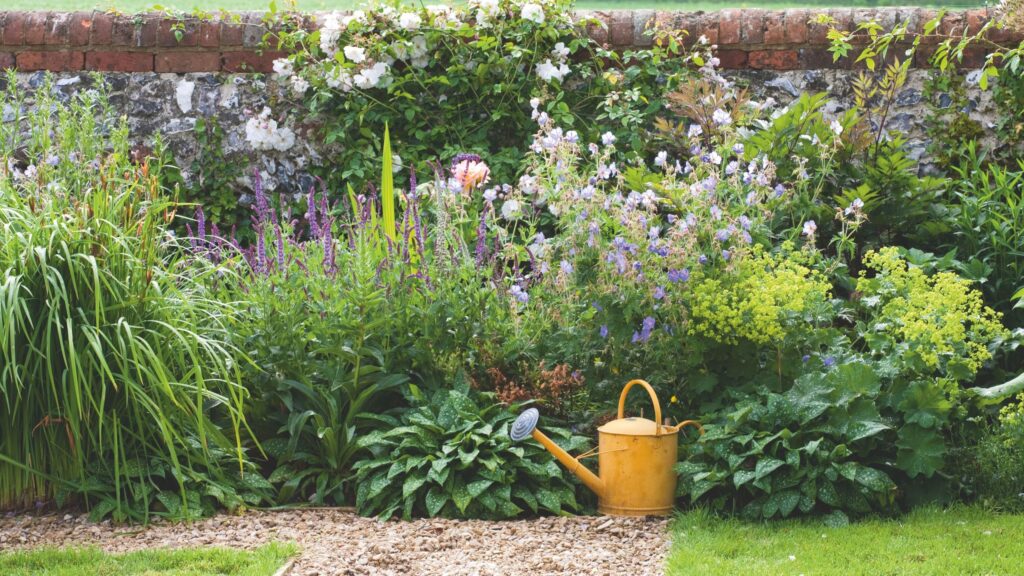 7 water-saving garden habits experts swear by