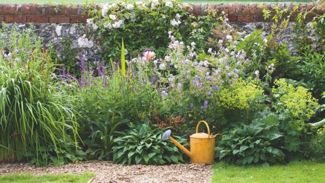 7 water-saving garden habits experts swear by