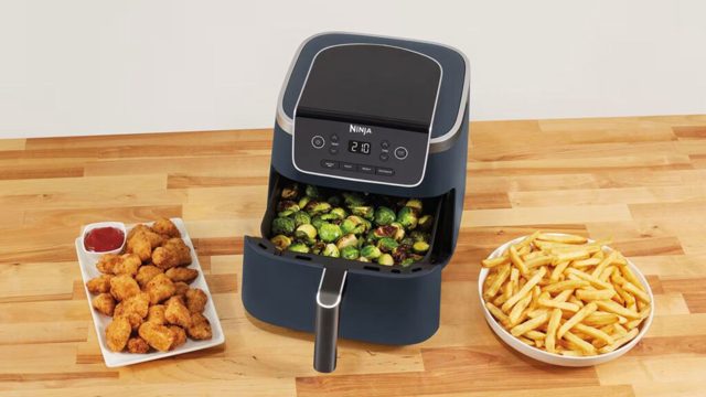 A new Ninja air fryer for under £100 has been released