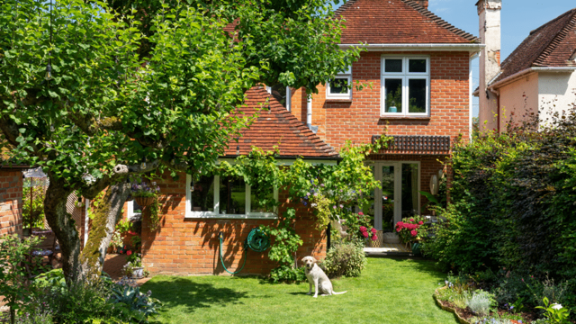 5 ways to protect plants in a storm that make a big difference