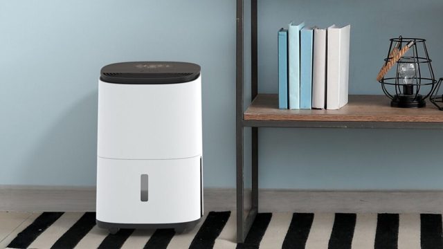 This Debenhams dehumidifier is ideal for window condensation