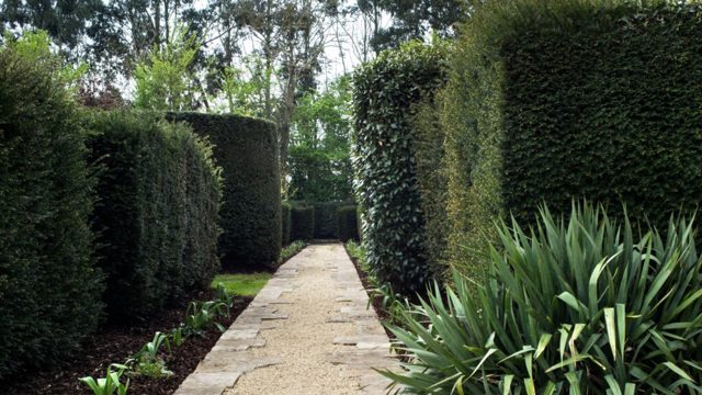 Is October too late to trim hedges? Don’t miss the boat…