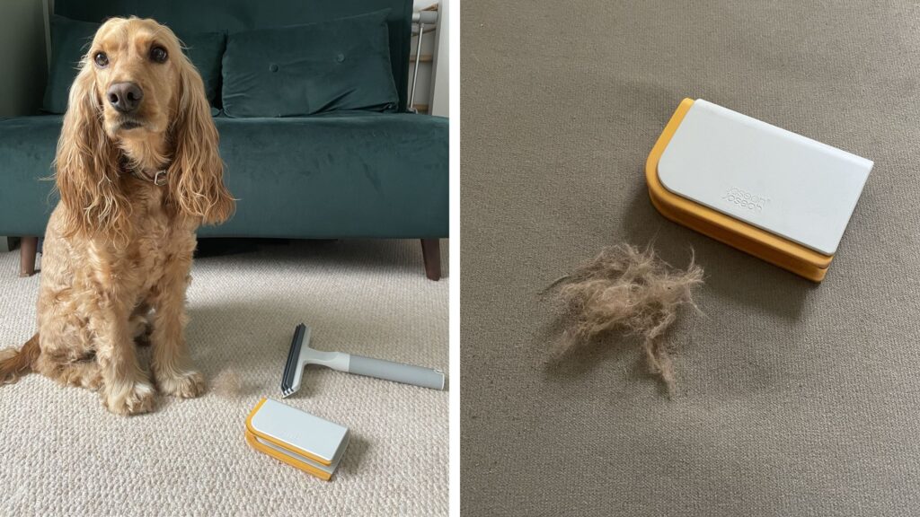 My dog and I put Joseph Joseph’s new cleaning tools to the test