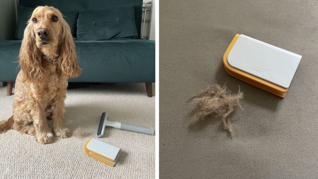 My dog and I put Joseph Joseph’s new cleaning tools to the test